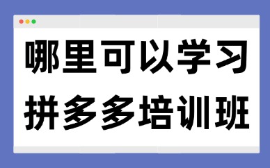 在哪里可以学习拼多多培训班