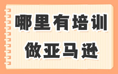 哪里有培训做亚马逊跨境电商