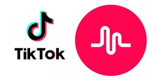 去哪里能学习tiktok - 美迪教育