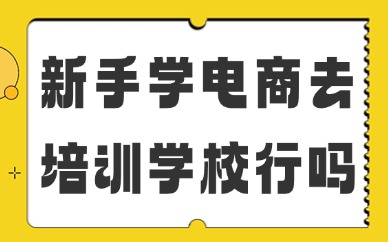 新手学电商去培训学校可以么