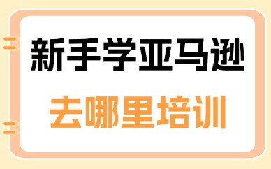新手学亚马逊去哪里培训