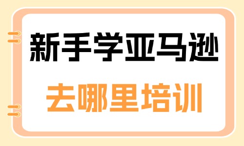 新手学亚马逊去哪里培训 - 美迪教育