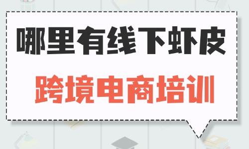 哪里有线下虾皮跨境电商培训 - 美迪教育