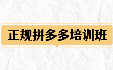 正规拼多多培训班