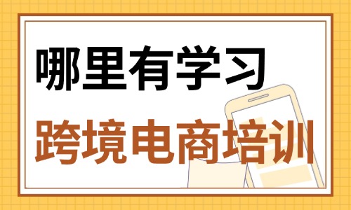 哪里有学习做跨境电商培训班 - 美迪教育