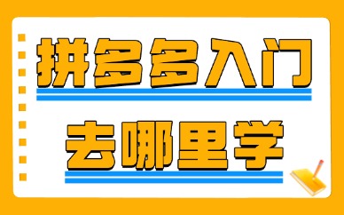拼多多新手入门去哪里学习