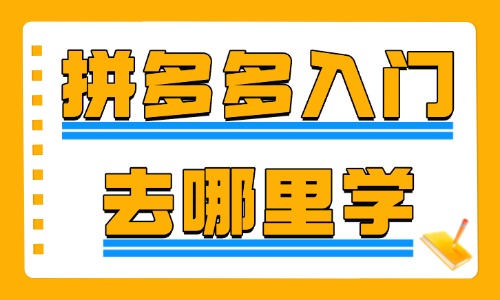 拼多多新手入门去哪里学习 - 美迪教育