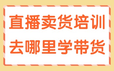 直播卖货培训去哪里学带货