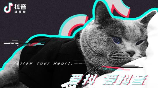哪里有正规的线下抖音培训 - 美迪教育