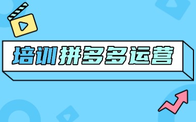 培训拼多多运营