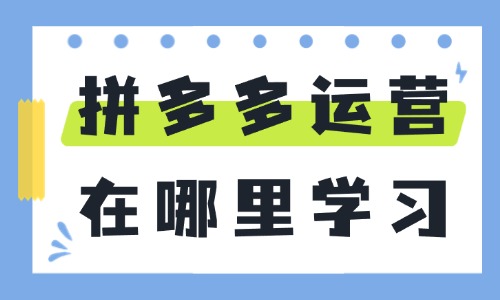 拼多多运营在哪里能学习培训 - 美迪教育