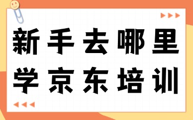 新手去哪里学京东培训