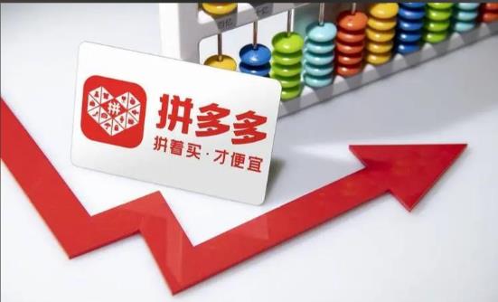 哪里可以学拼多多开店 - 美迪教育