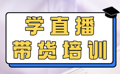 学直播带货培训