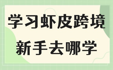 学习虾皮跨境新手去哪学