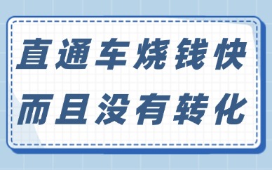 淘宝直通车烧钱很快而且没有转化，是什么原因？