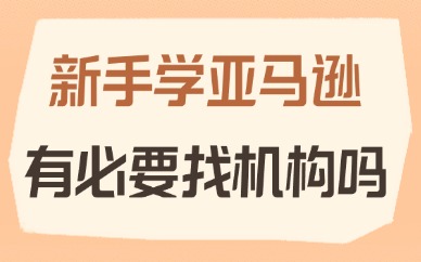 新手学亚马逊有必要找机构吗