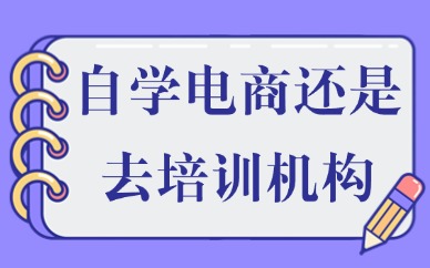 自学电商还是去培训机构