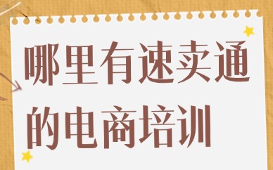 哪里有速卖通的电商培训