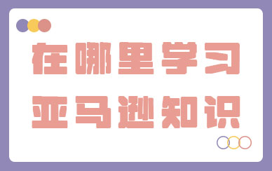 在哪里学习亚马逊知识