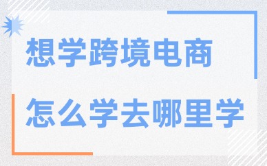 想学跨境电商怎么学去哪里学