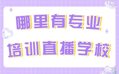 哪里有专业培训直播学校