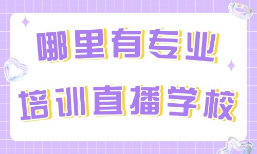 哪里有专业培训直播学校 - 美迪教育
