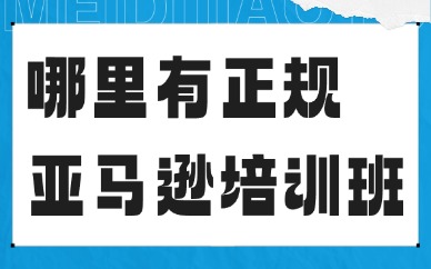 哪里有正规亚马逊培训班