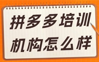 拼多多培训机构怎么样