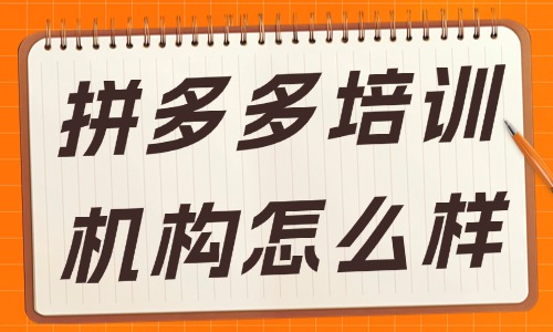 拼多多培训机构怎么样 - 美迪电商