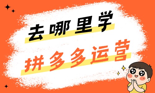 去哪里学拼多多运营技术 - 美迪电商