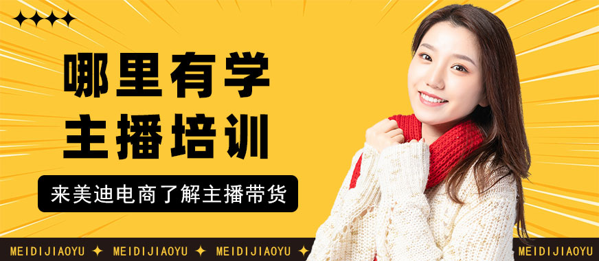 东莞哪里有学主播培训机构 - 美迪电商