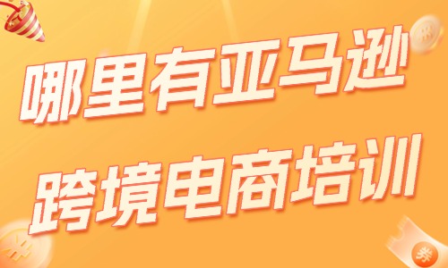 哪里有亚马逊跨境电商培训班 - 美迪电商