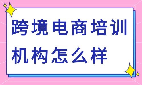 跨境电商培训机构怎么样?哪家强? - 美迪电商