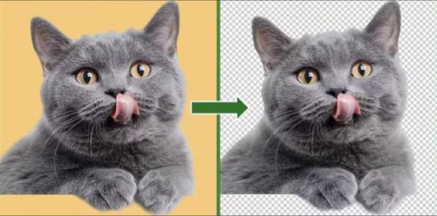 哪个photoshop专业培训机构好 - 美迪电商