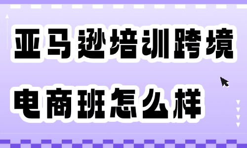 亚马逊培训跨境电商班怎么样 - 美迪电商