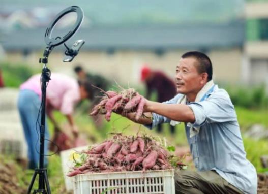 广州直播带货基地在哪里 - 美迪电商