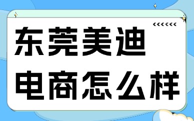 东莞美迪电商怎么样？深入解析教学实力与服务体系