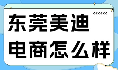 东莞美迪电商怎么样？深入解析教学实力与服务体系 - 美迪电商