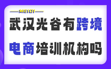武汉光谷有跨境电商培训机构吗？选校前必看这3点
