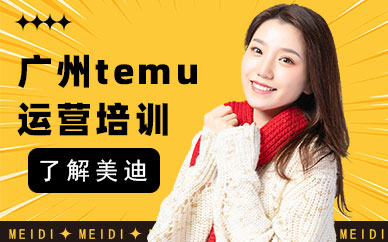 广州temu运营培训班