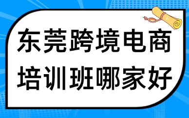 东莞跨境电商培训班哪家好？美迪手把手教学