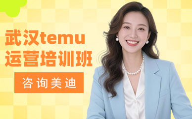 武汉temu运营培训班