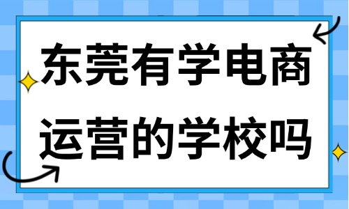 东莞有学电商运营的学校吗?实战型机构推荐 - 美迪电商