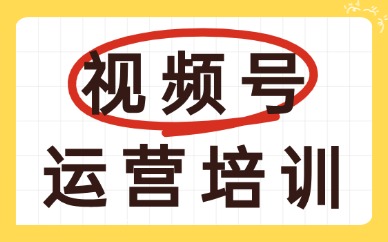 视频号运营培训