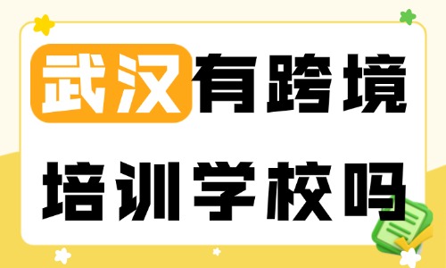 武汉有跨境电商培训学校吗？本地实战型机构推荐 - 美迪电商