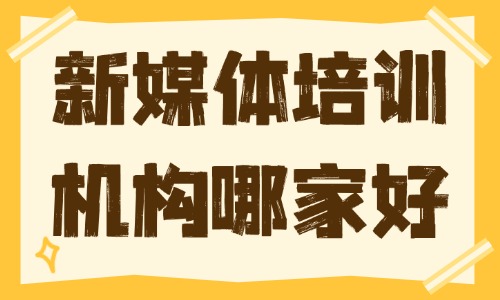 新媒体运营培训机构哪家好 - 美迪电商