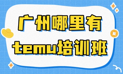 广州哪里有temu跨境电商培训班?新手避坑指南 - 美迪电商