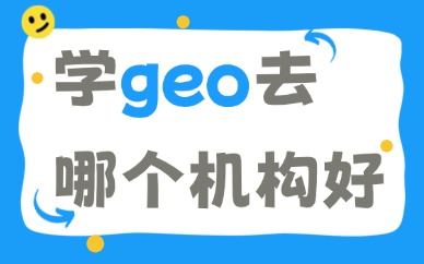 学geo去哪个机构好
