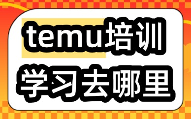 temu培训学习去哪里